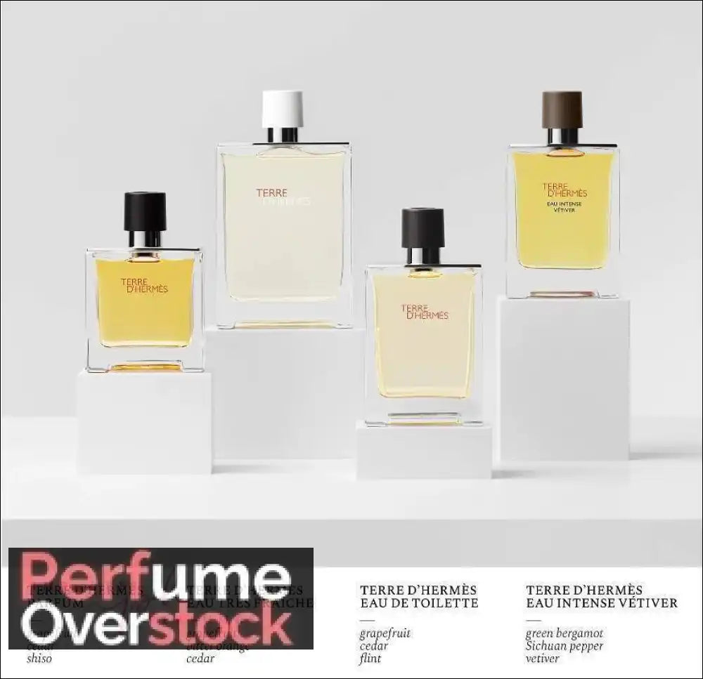 Terre d’Hermes Hermès Eau De Toillette 100ml