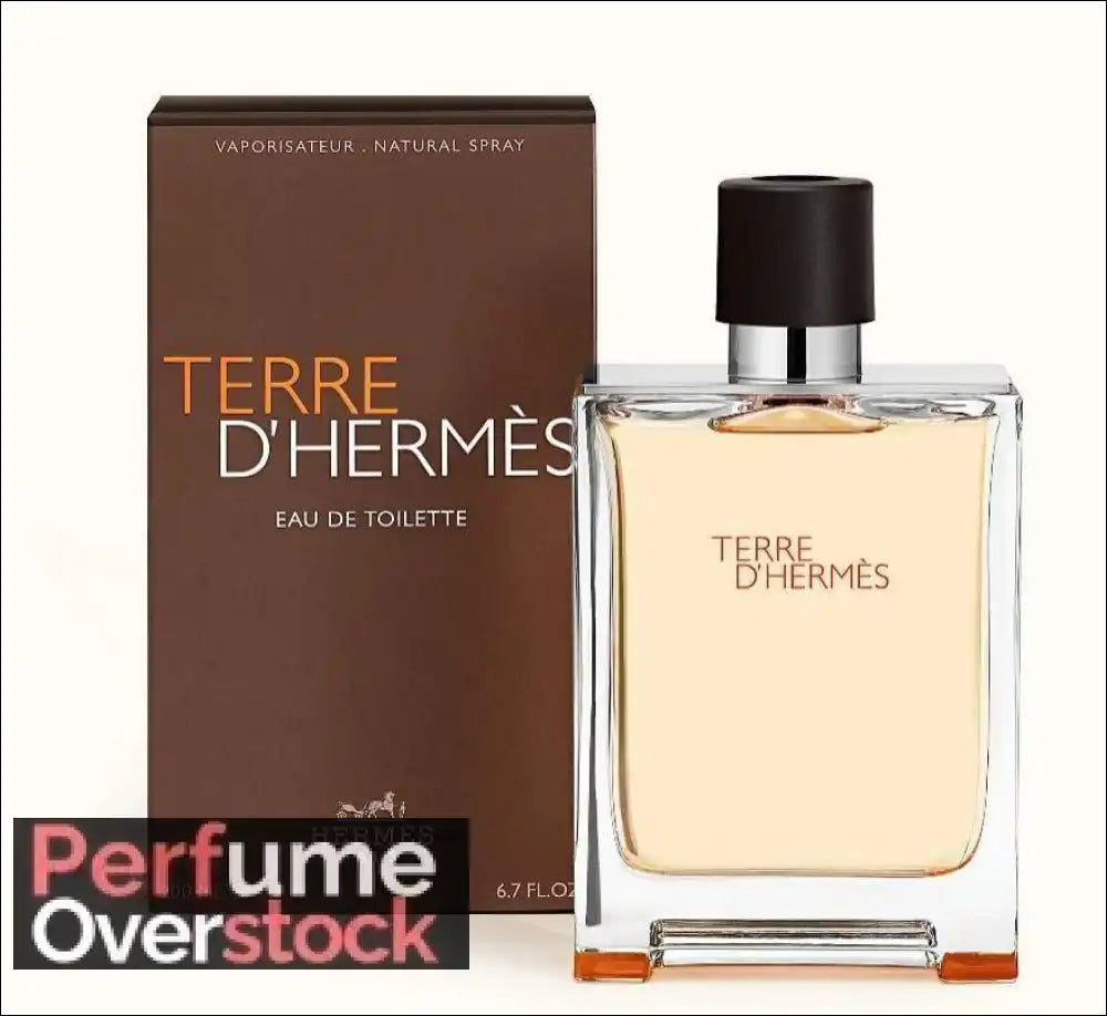 Terre d’Hermes Hermès Eau De Toillette 100ml