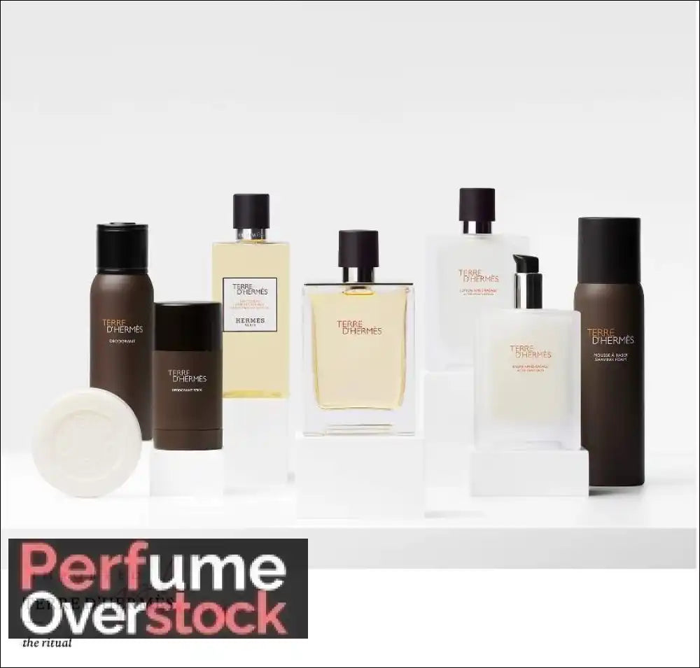 Terre d’Hermes Hermès Eau De Toillette 100ml