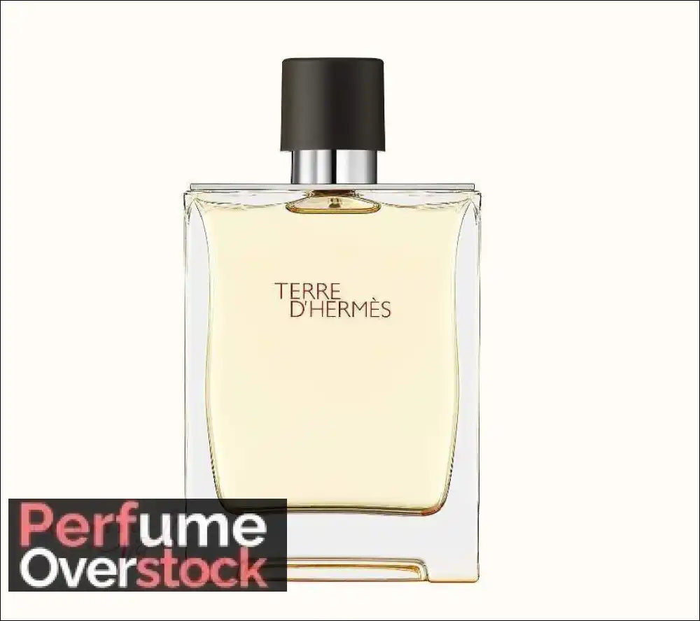 Terre d’Hermes Hermès Eau De Toillette 100ml