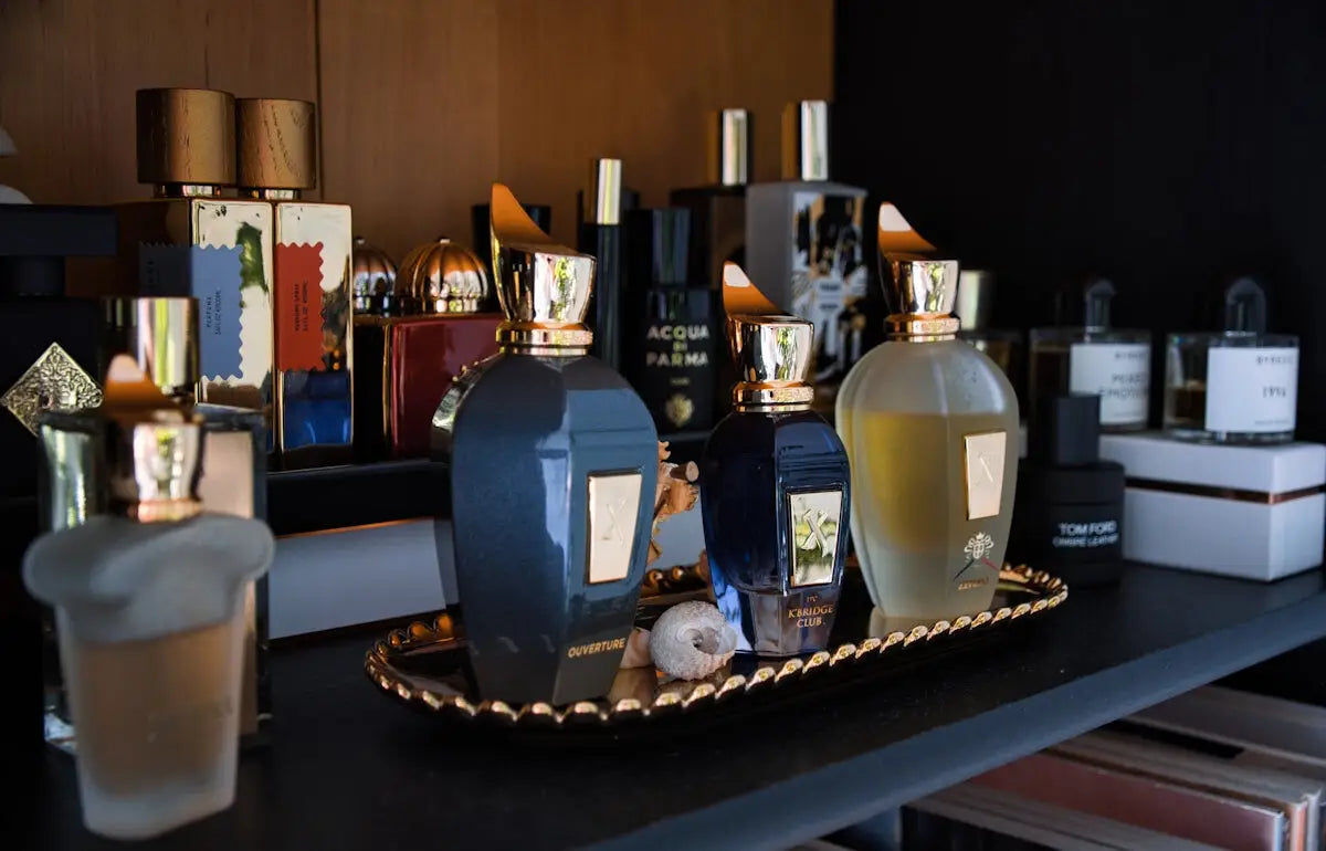 Top 10 Luxury Designer Perfumes in the Philippines You’ll Love