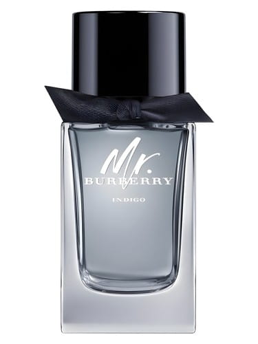 Mr. Burberry Indigo Burberry for men