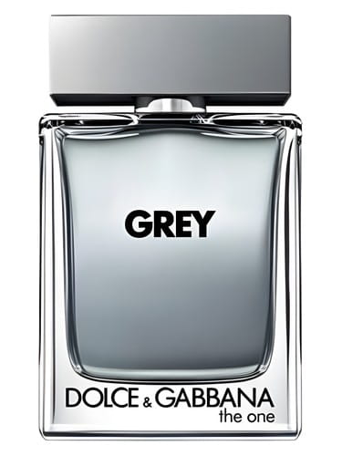 The One Grey Dolce&Gabbana for men
