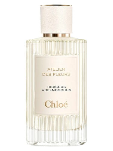 Hibiscus Abelmoschus Chloé for women