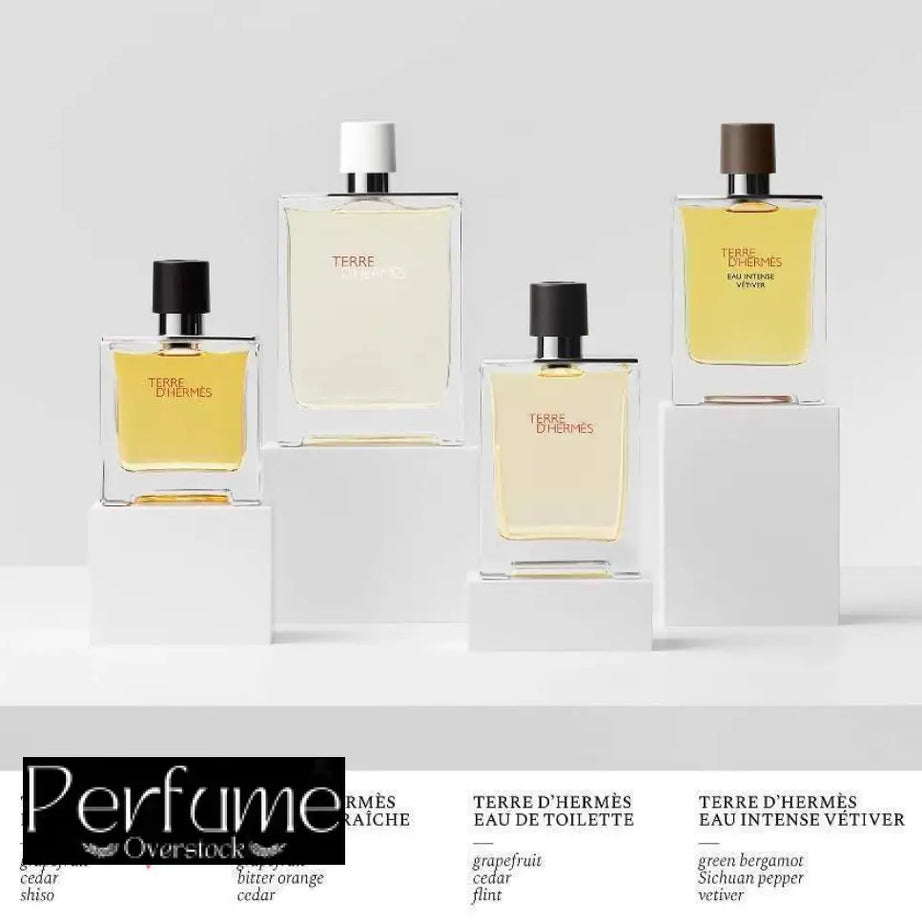 Terre d’Hermes Hermès Eau De Toillette 100ml