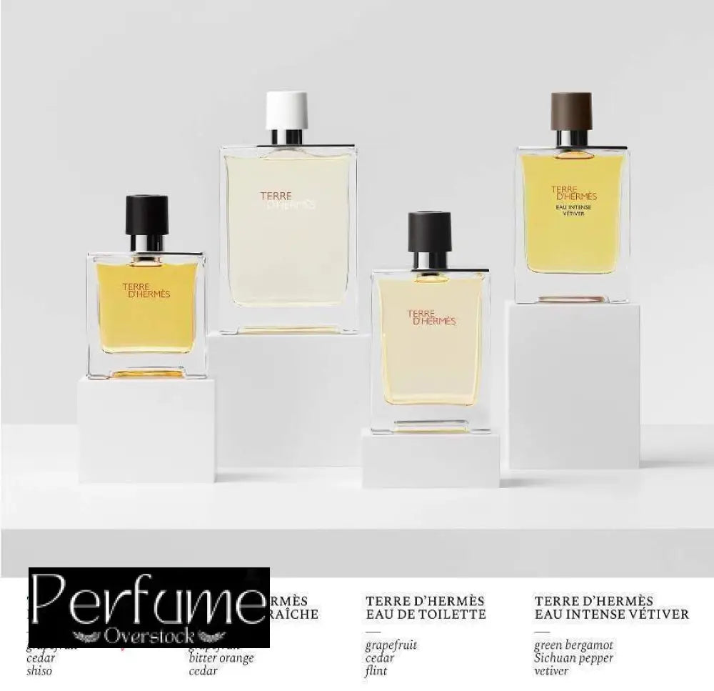 Terre d’Hermes Hermès Eau De Toillette 100ml