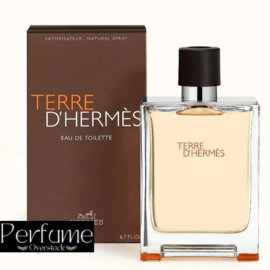 Terre d’Hermes Hermès Eau De Toillette 100ml
