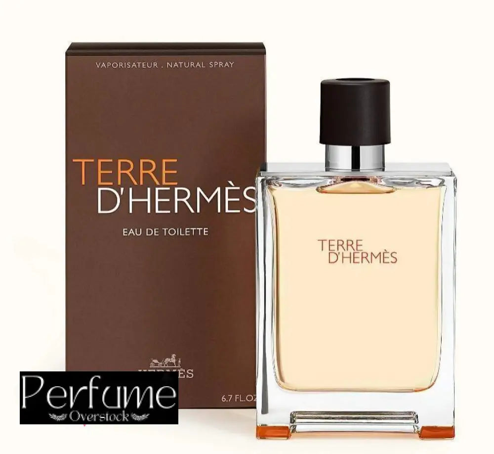 Terre d’Hermes Hermès Eau De Toillette 100ml