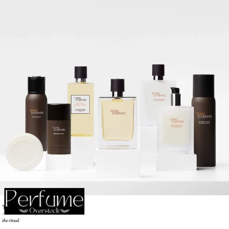 Terre d’Hermes Hermès Eau De Toillette 100ml