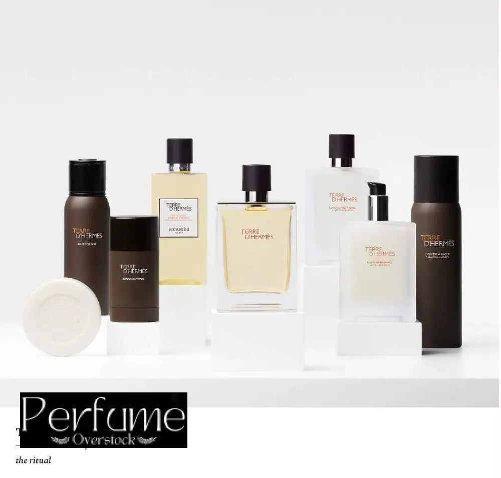 Terre d’Hermes Hermès Eau De Toillette 100ml