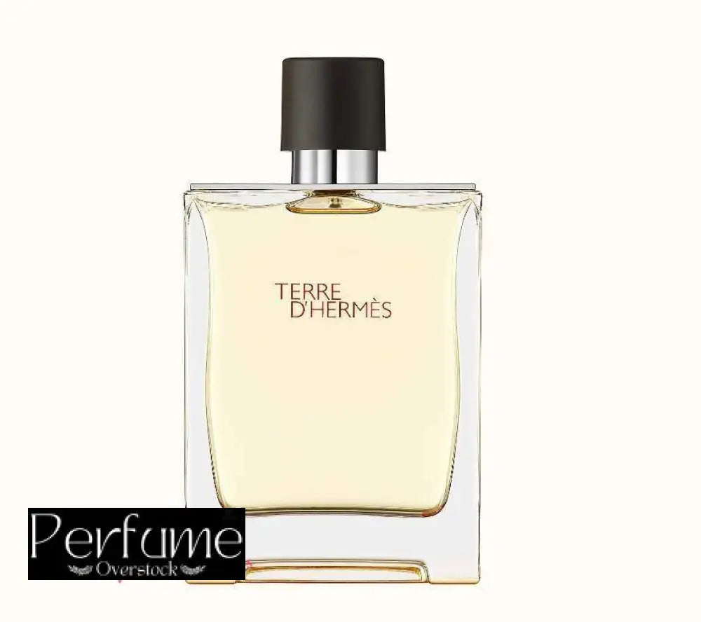 Terre d’Hermes Hermès Eau De Toillette 100ml